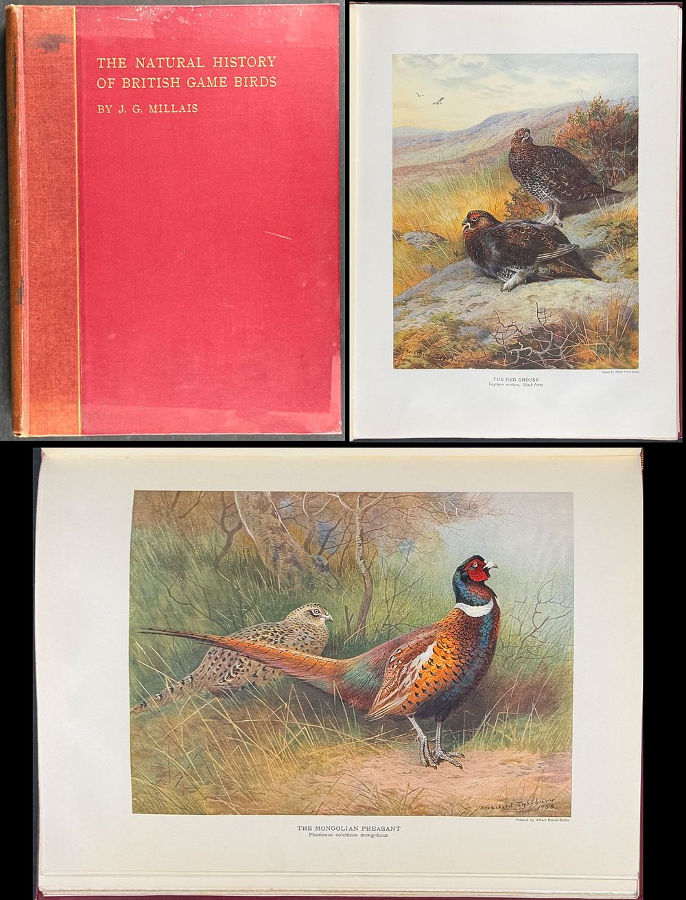 Millais's British Game Birds - Volume with 18 Color Plates & 17 Photogravures. This first 