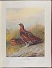 Millais's British Game Birds - Volume with 18 Color Plates & 17 Photogravures. This first Image - 8