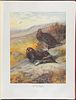 Millais's British Game Birds - Volume with 18 Color Plates & 17 Photogravures. This first Image - 9