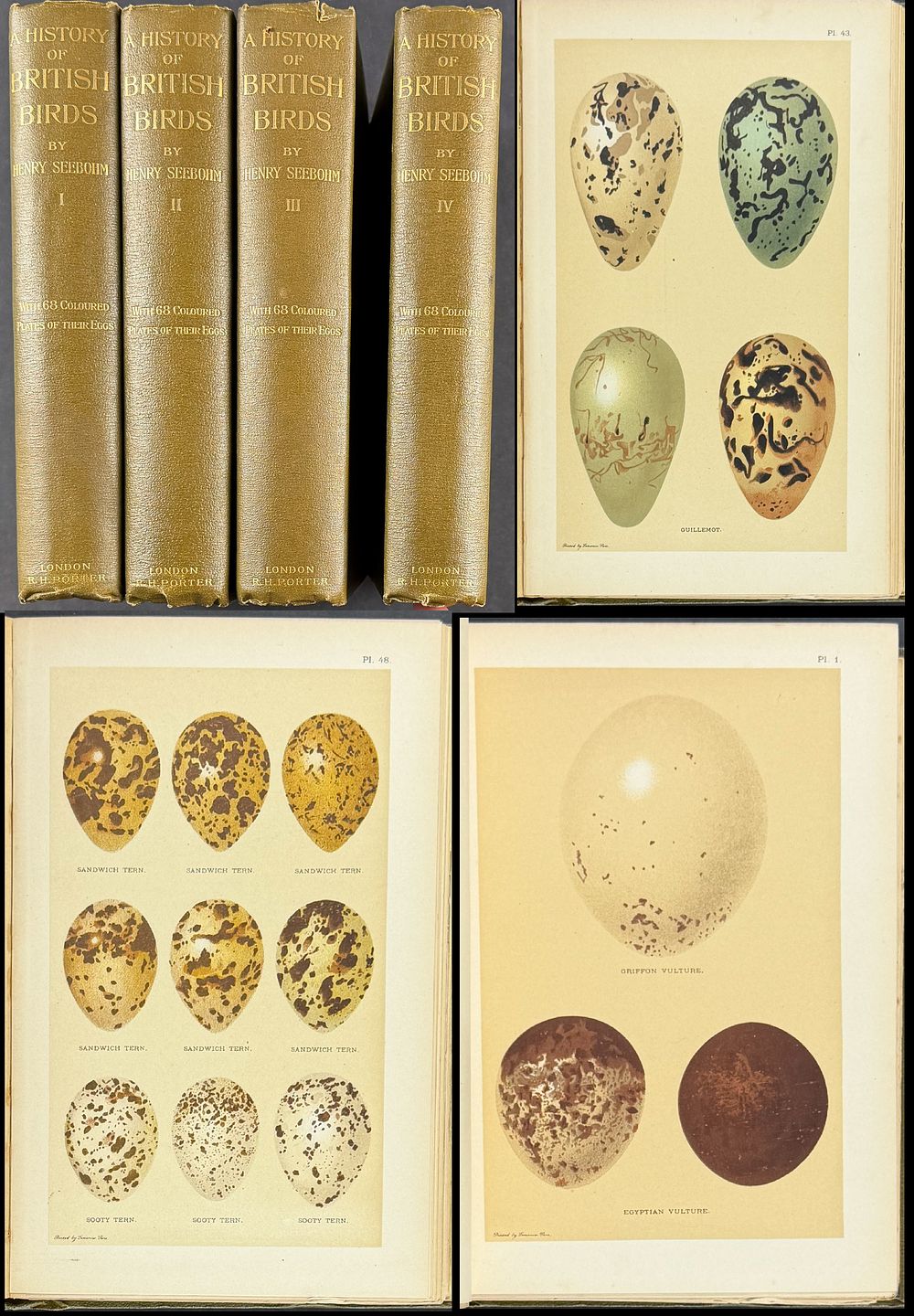 Seebohm's British Birds - 4 Volume with 68 Chromolithographs. This first edition, four volume 