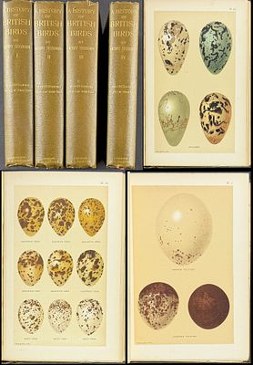 Seebohm's British Birds - 4 Volume with 68 Chromolithographs. This first edition, four volume 