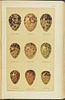 Seebohm's British Birds - 4 Volume with 68 Chromolithographs. This first edition, four volume Image - 9