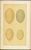 Seebohm's British Birds - 4 Volume with 68 Chromolithographs. This first edition, four volume Image - 13