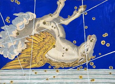 Bayer - Constellation or Star Chart of Pegasus (The Winged Horse). Perhaps the most influential 