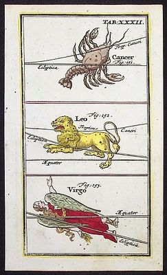 Rost - Celestial or Astronomy Engraving of Cancer, Leo, Virgo. This charming originally 