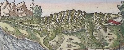 Munster, pub. 1598 - Crocodile or Alligator, Town Views / Verso: Water Well, River, Carrying System