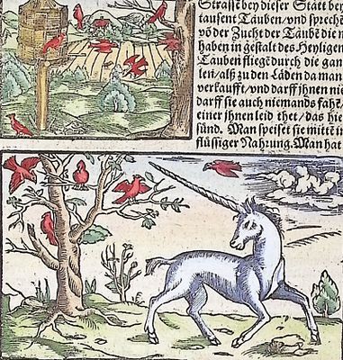 Munster, pub. 1598 - Unicorn, Birds. This very old woodcut is from Sebastian Munster's 