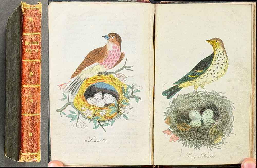 British Birds - Volume with 11 Originally Hand-colored Engravings (Likely by Thomas Bewick). This 