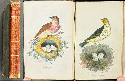 British Birds - Volume with 11 Originally Hand-colored Engravings (Likely by Thomas Bewick). This 
