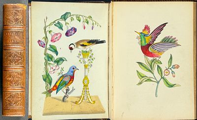 Spratt's - Volume with 12 Originally Hand-colored Lithographs. This volume with 12 hand-colored 