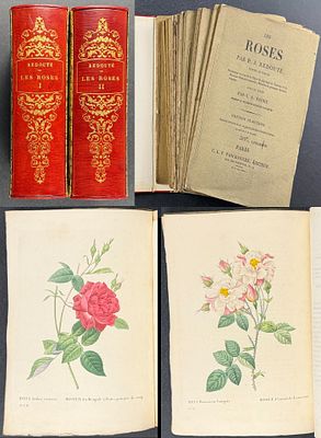 Redoute's Les Roses - Complete Work with 160 Stipple Engravings. This complete work was issued 