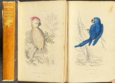 Lauder's Natural History - Volume with 35 Parrot Engravings. This volume with 35 Parrot 