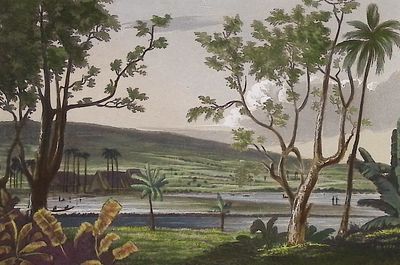 Ellis, Hawaii - Missionary Houses in Byron Bay. This historic engraving is from William Ellis's 
