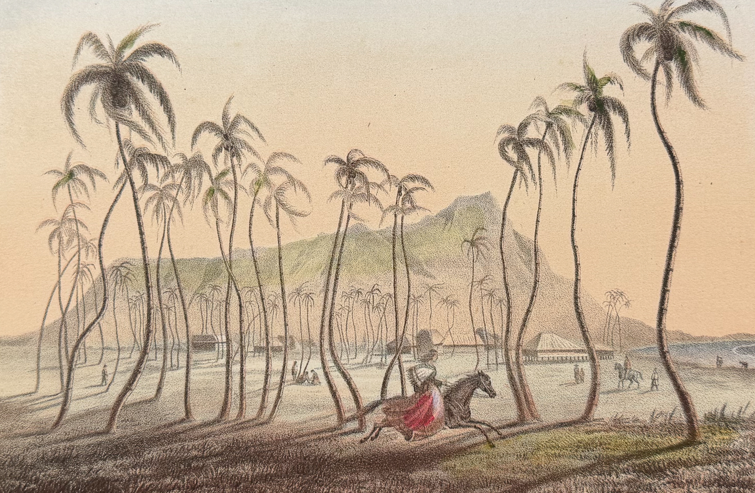 Ekelof, Hawaii - View of Waikiki, Honolulu (Sandwich Islands) [Wai-ki-ki, (Honolulu)]