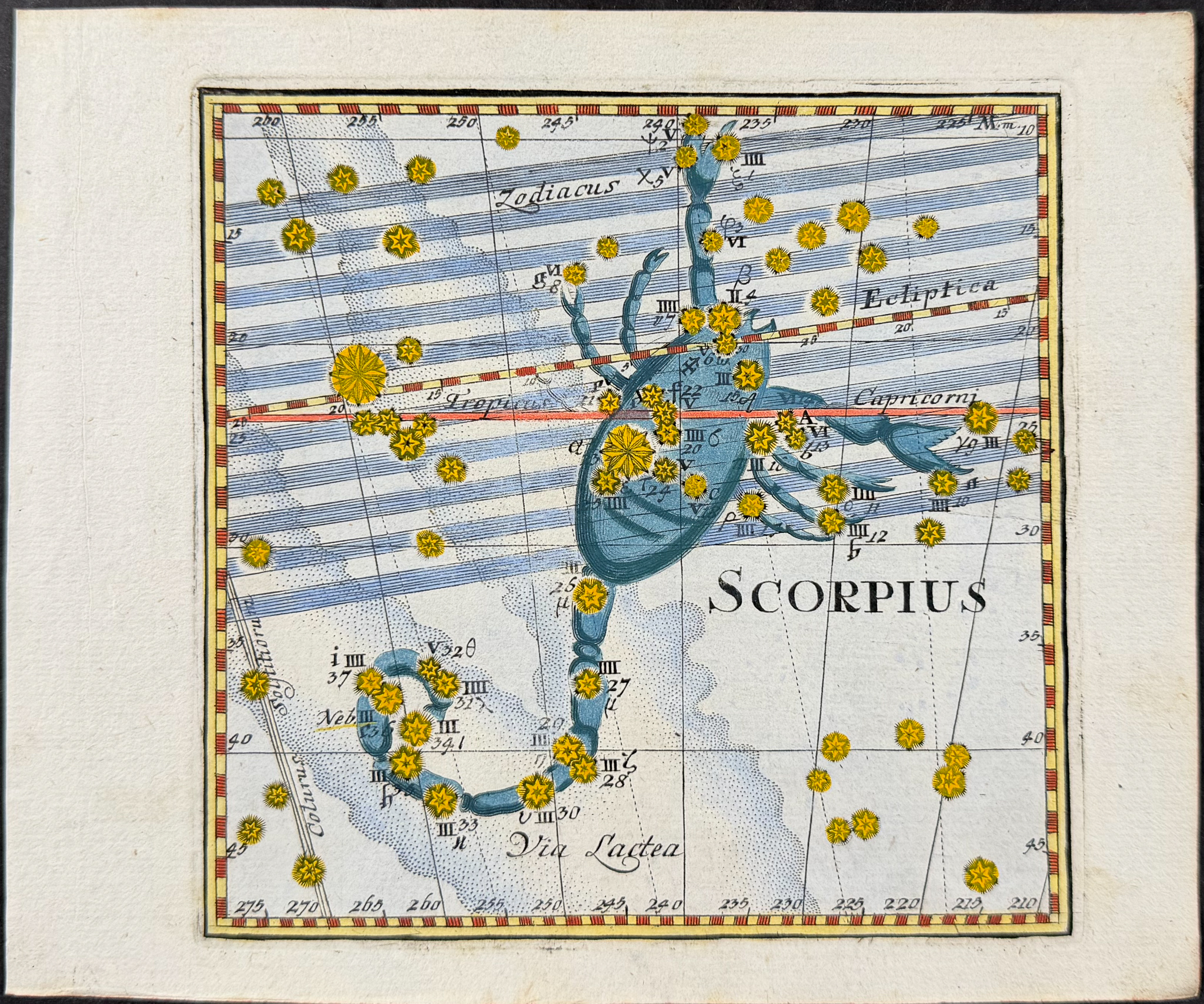 Thomas - Constellation or Celestial Chart of Scorpio (Scorpion)