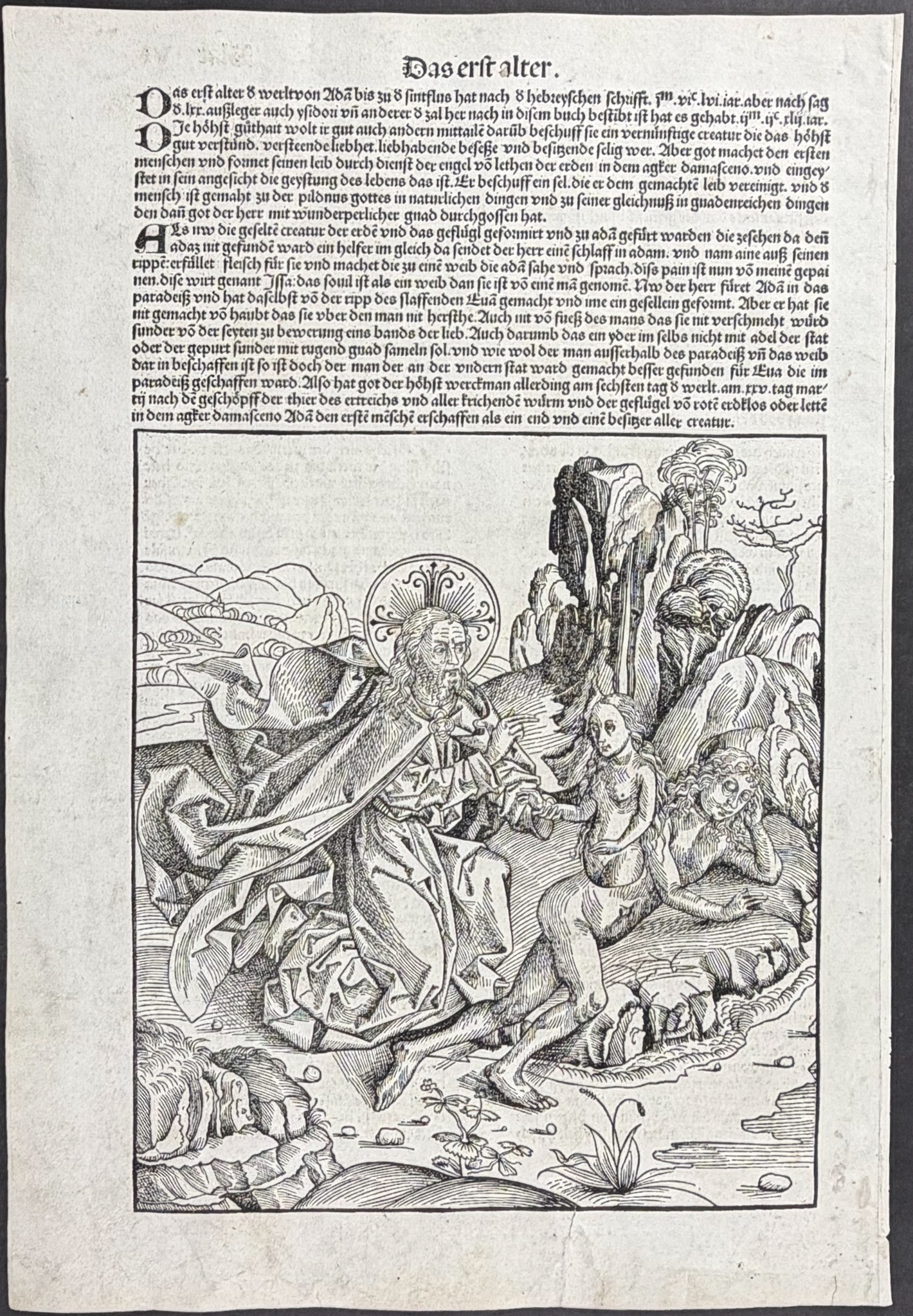 Schedel, pub. 1493 - Creation of Eve from Adam's Rib