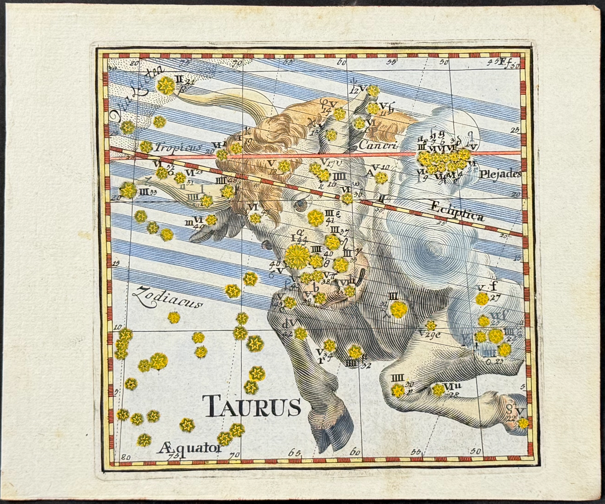 Thomas - Constellation or Celestial Chart of Taurus (Bull)