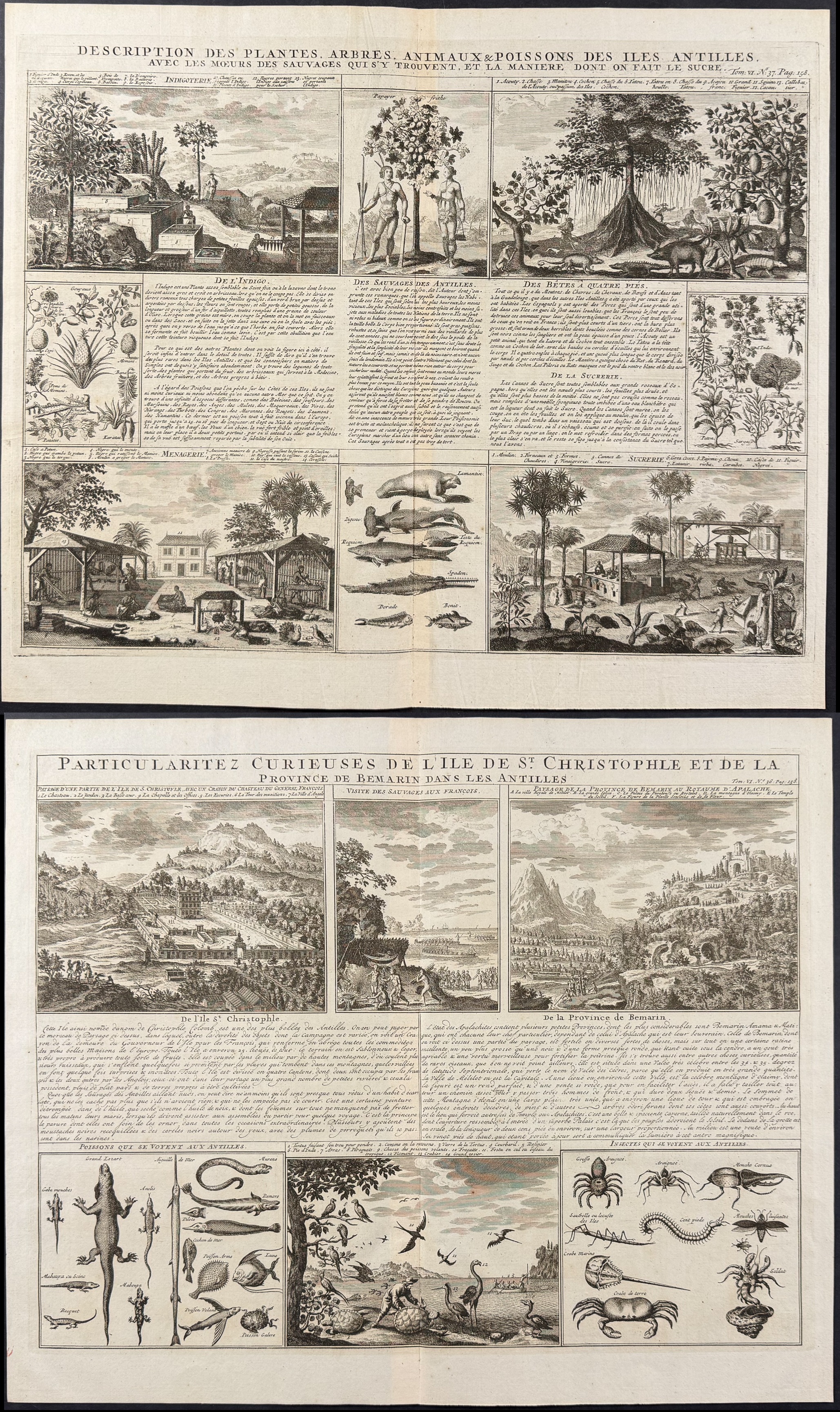 Chatelain - 3 Engravings on the West Indies or Antilles Islands