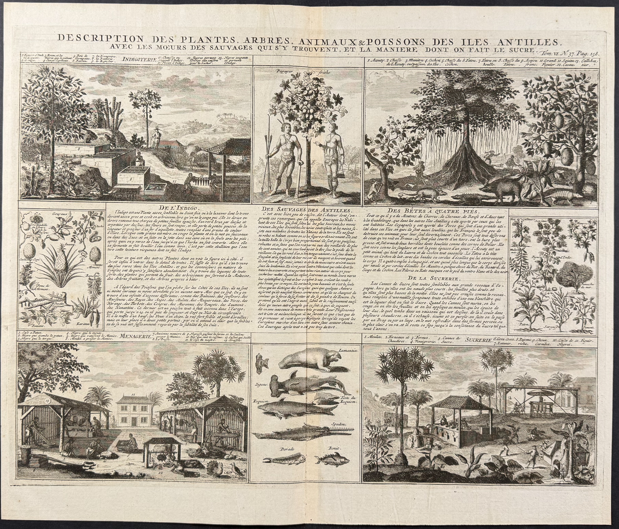 Chatelain - 3 Engravings on the West Indies or Antilles Islands