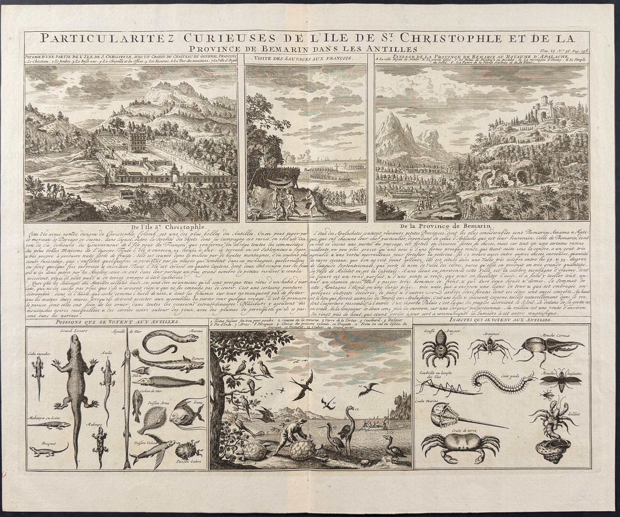 Chatelain - 3 Engravings on the West Indies or Antilles Islands