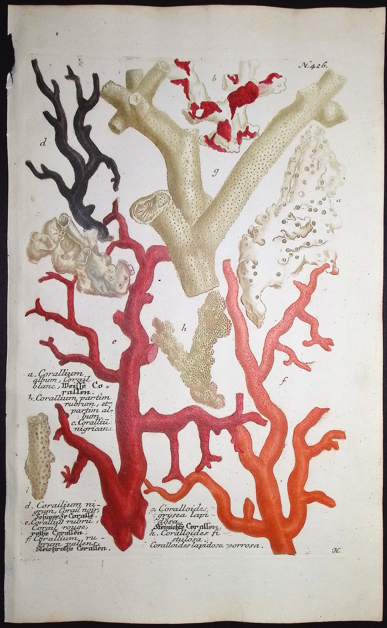 Weinmann - 3 Coral Engravings