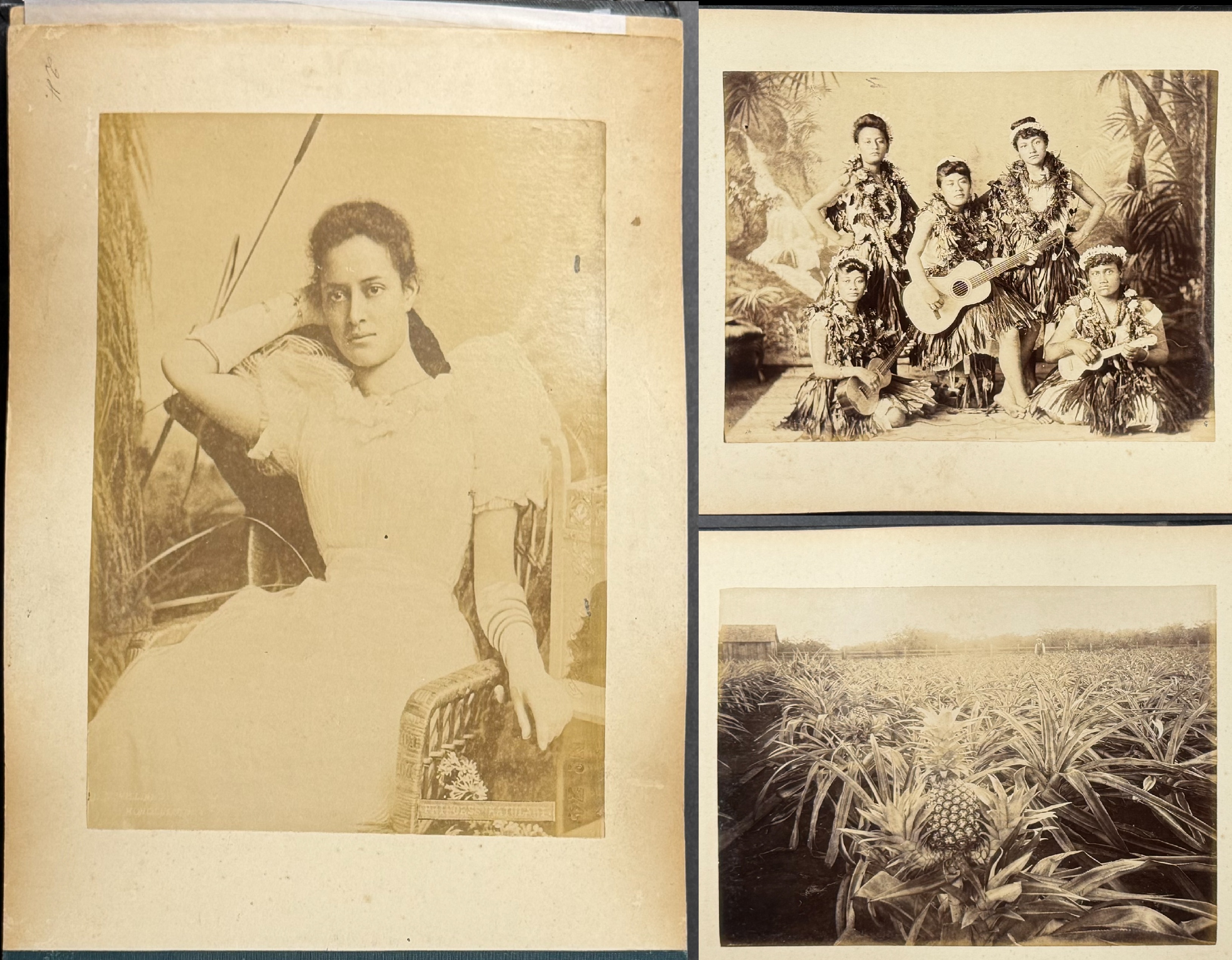 Photo Album of Hawaii with 24 Albumen Photographs by James J. Williams, c. 1890s