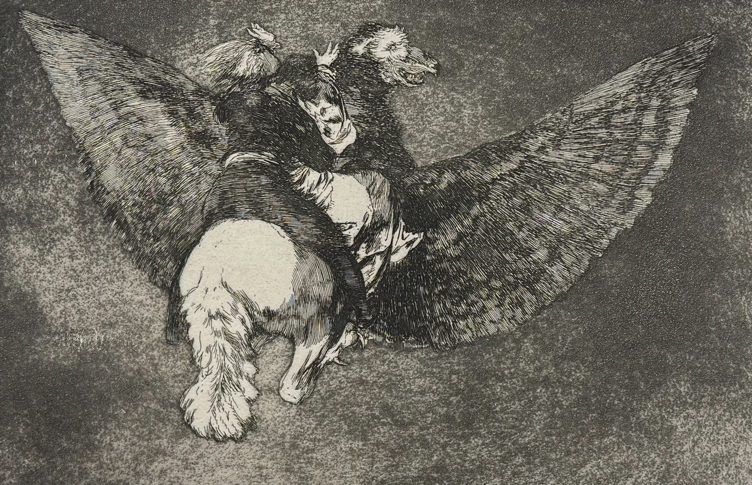 Goya - Disparate volante [Flying Folly]