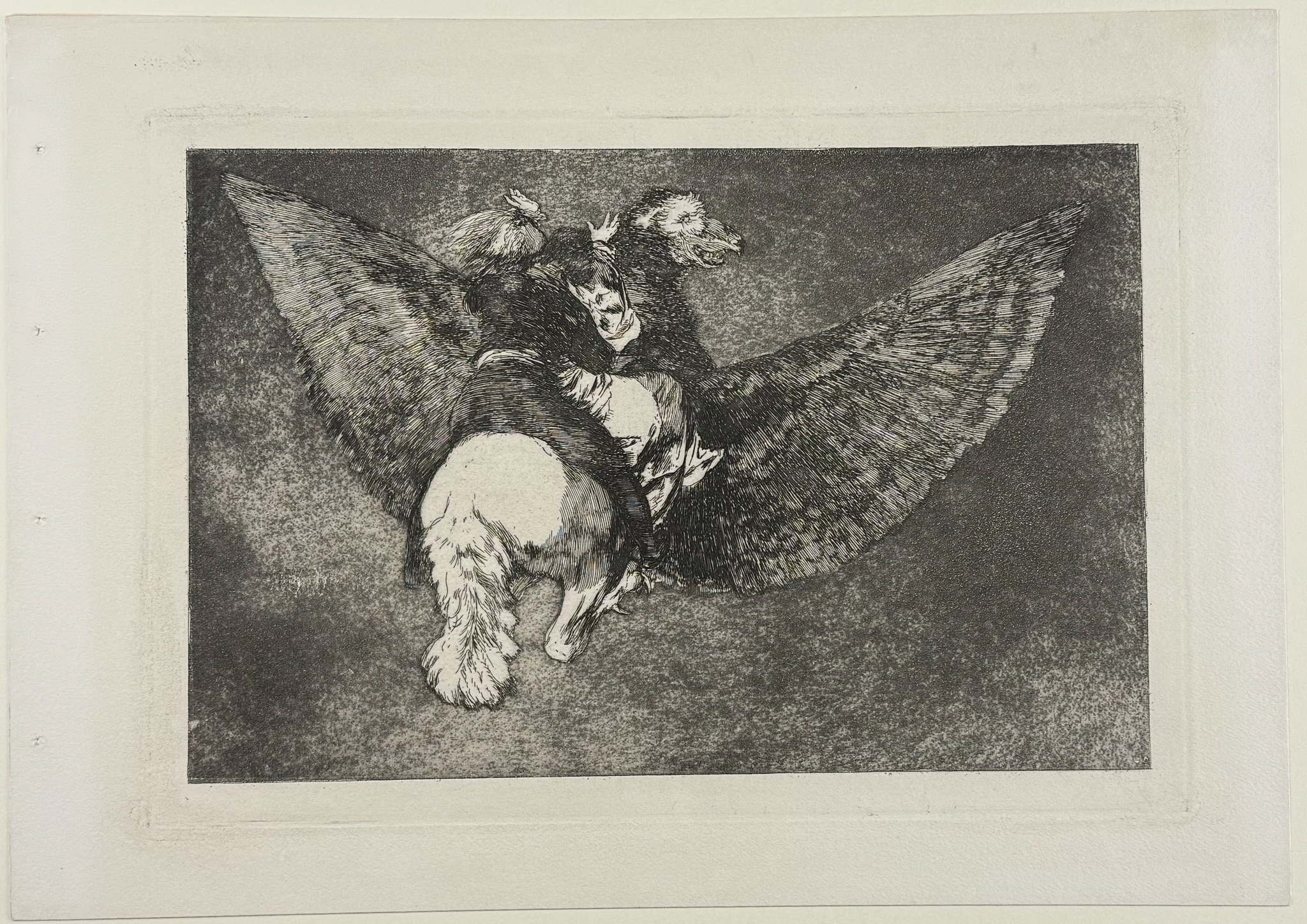 Goya - Disparate volante [Flying Folly]
