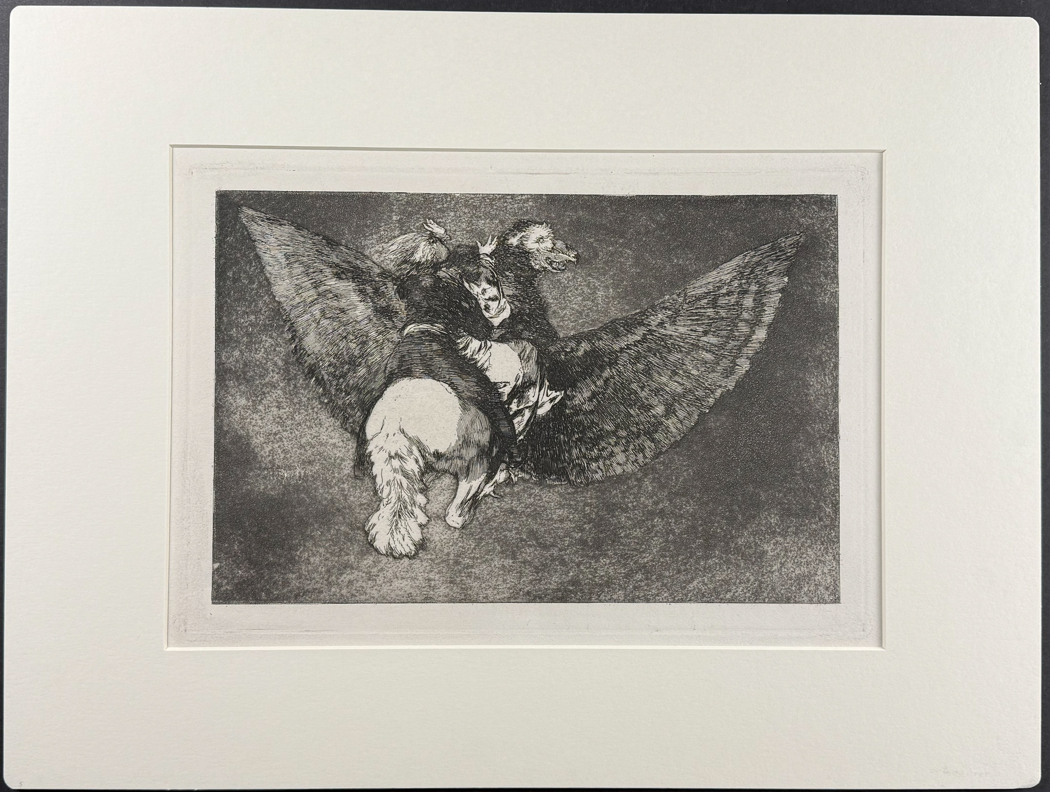 Goya - Disparate volante [Flying Folly]