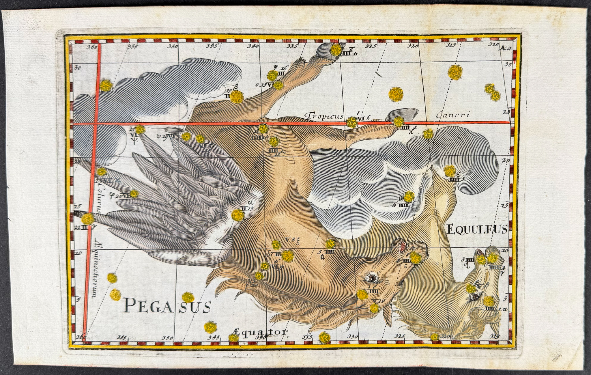 Thomas - Constellation or Celestial Chart of Pegasus