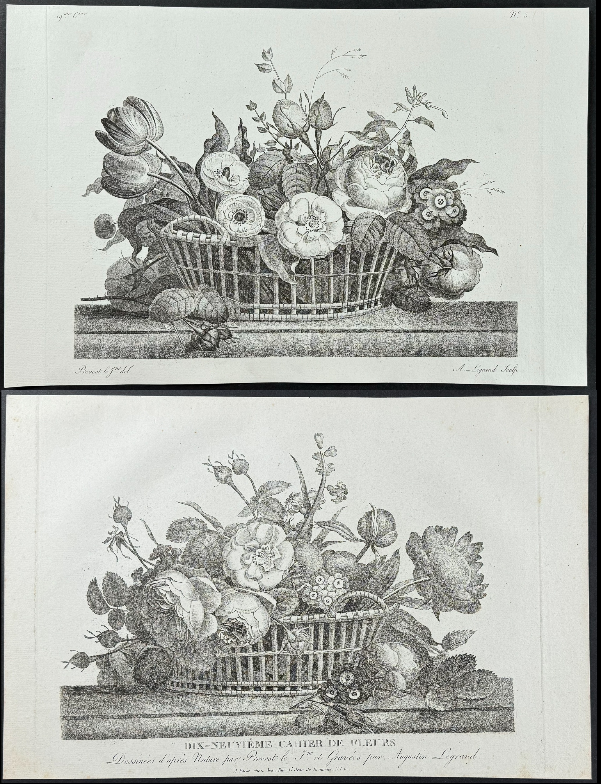 Prevost - Pair of Engravings of Floral Arrangements