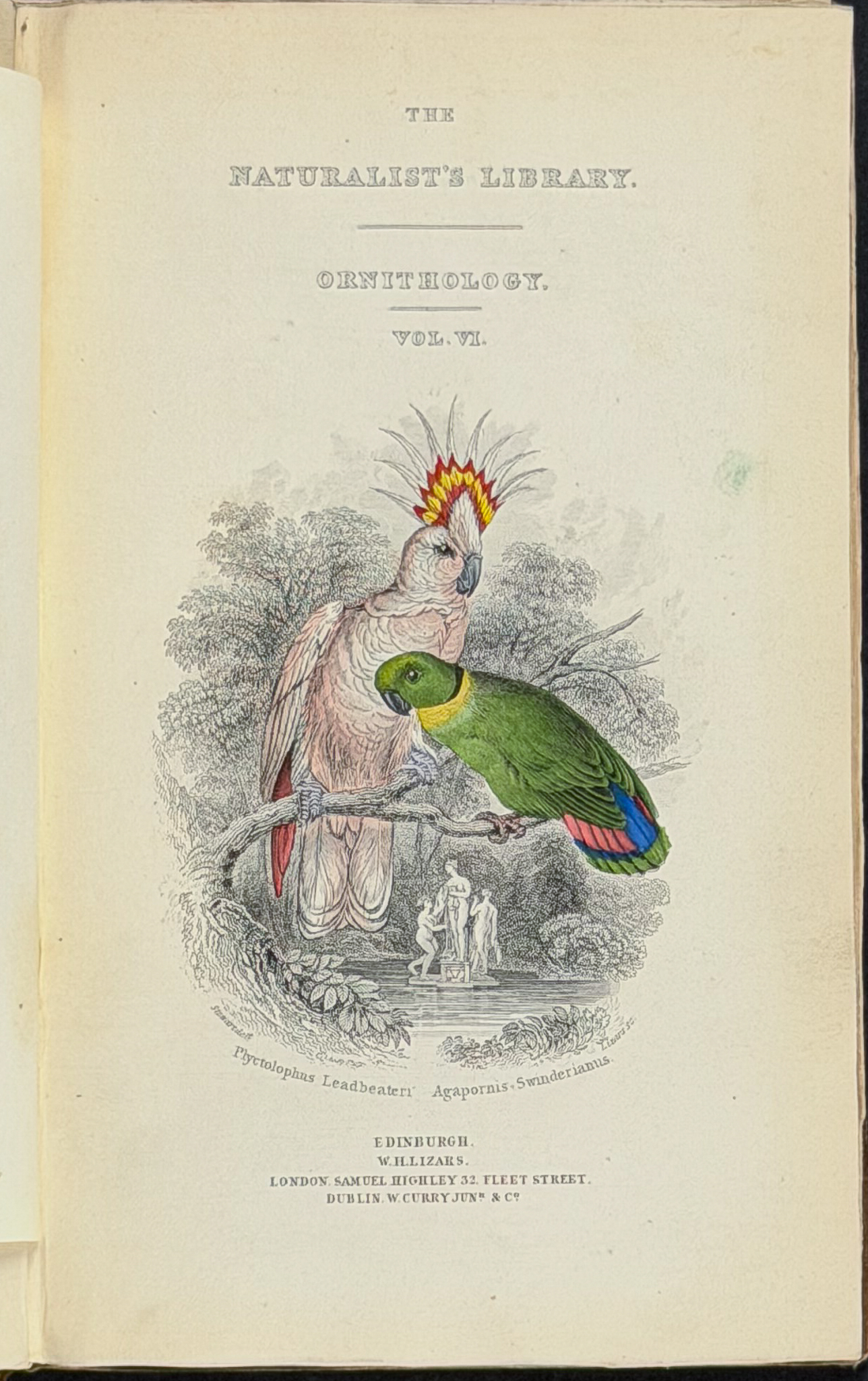 Jardine's The Naturalist's Library - Volume 6 with 30 Originally Hand-colored Engravings of Parrots, Cockatoos, & Macaws