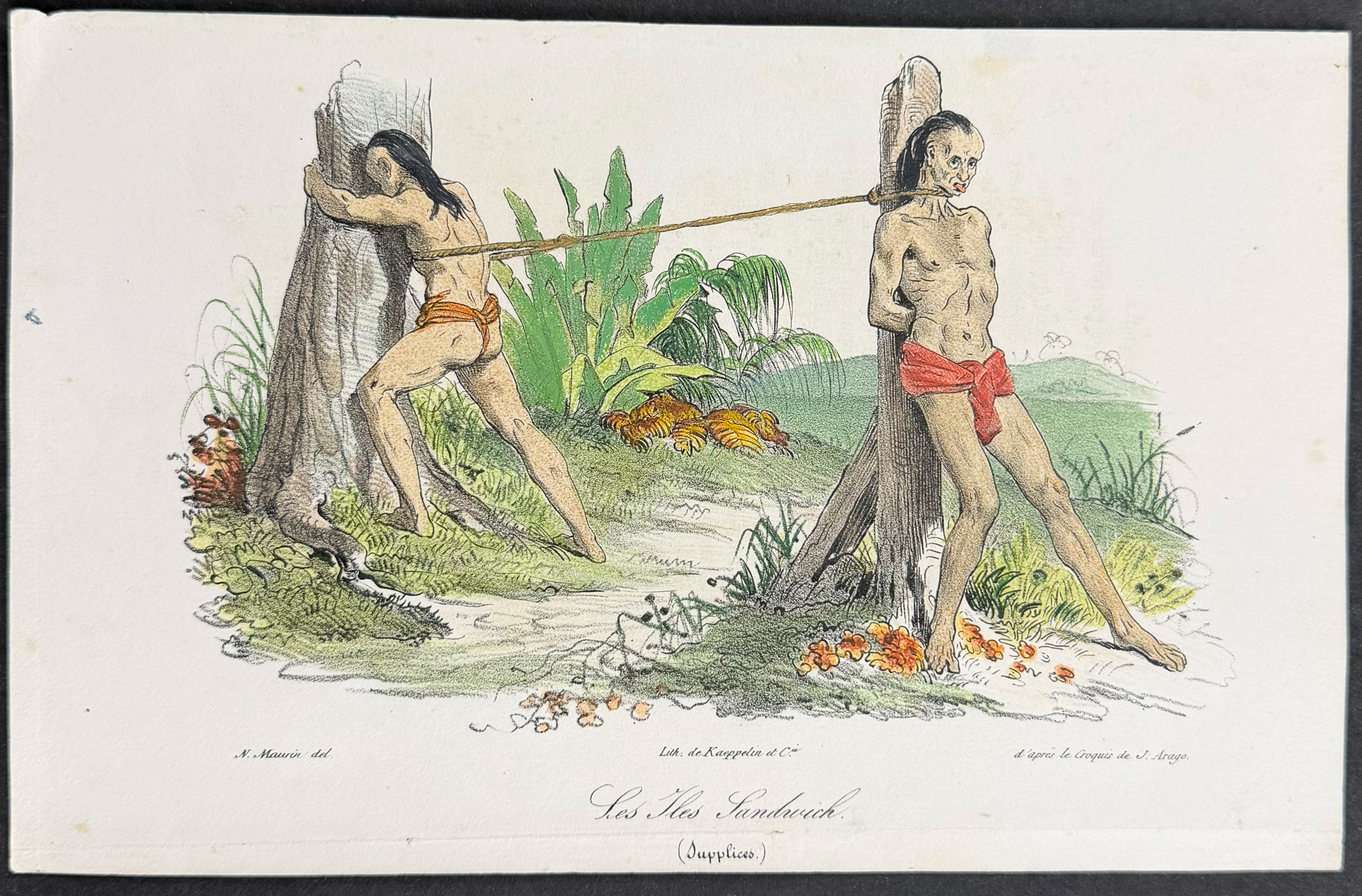 Arago, Hawaii - The Sandwich Islands [Les Iles Sandwich (Supplices)]