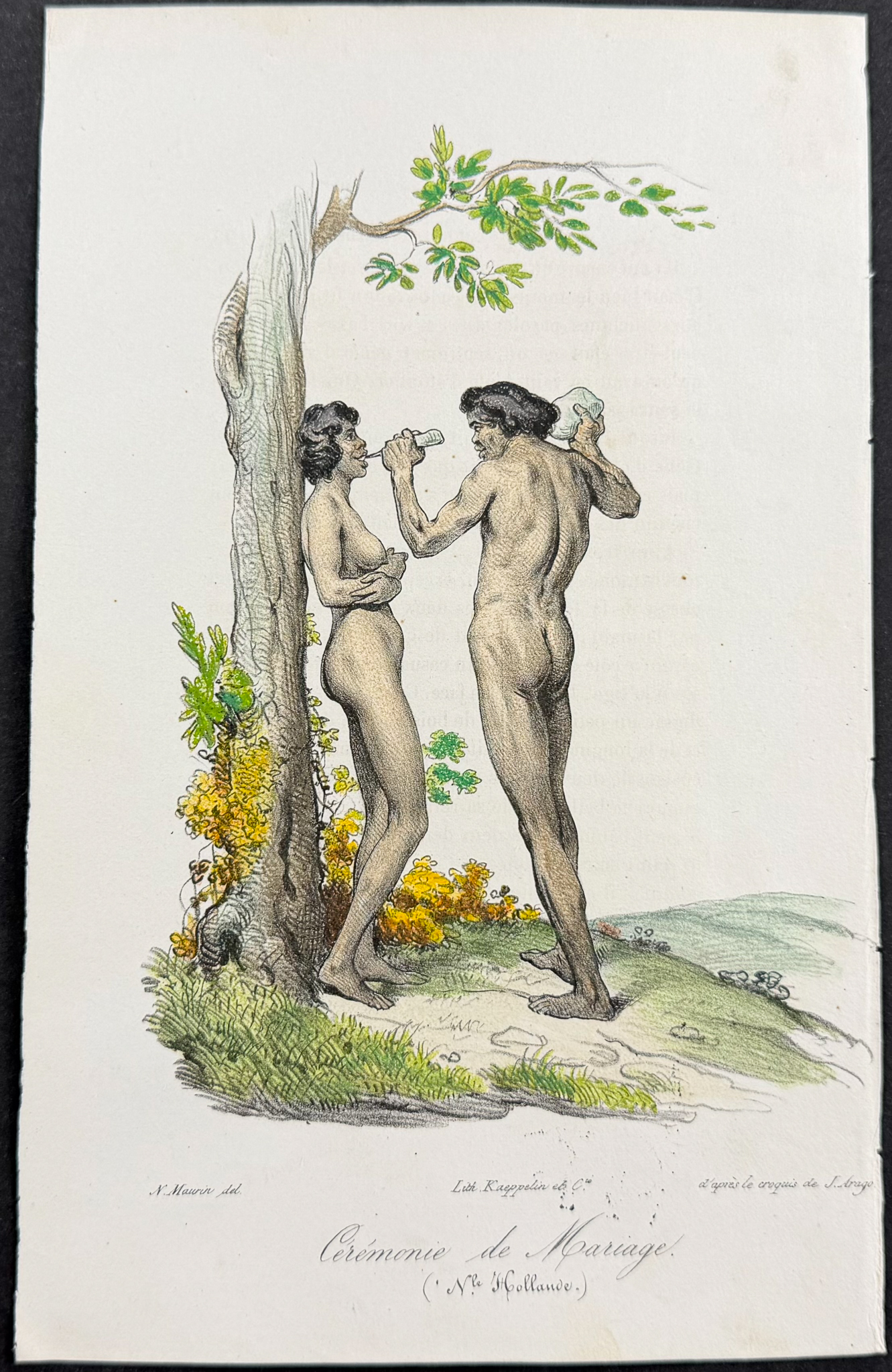 Arago, Australia - Wedding Ceremony, Aborigines [Ceremonie de Marriage (Nouvelle Holland)]