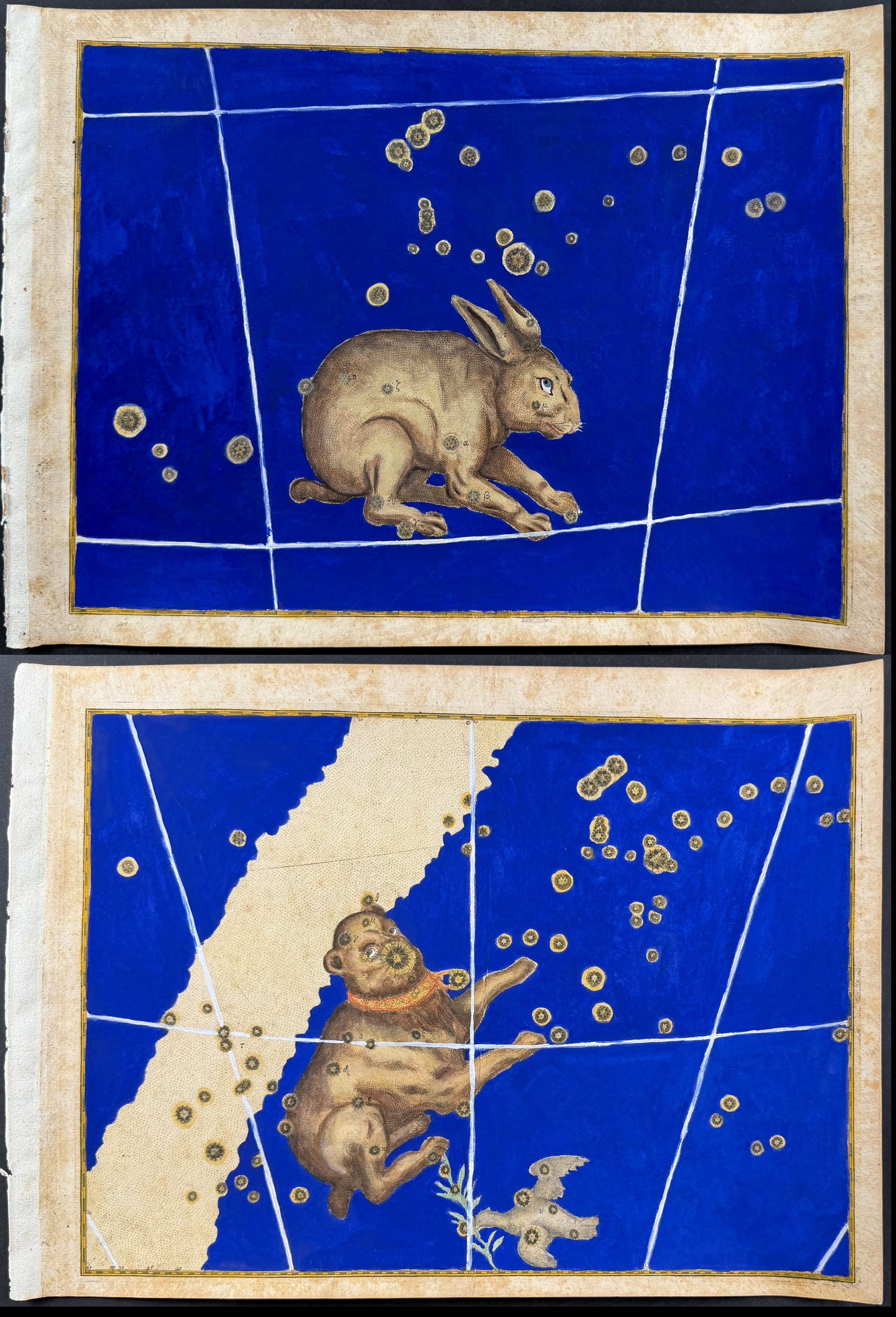 Bayer - Pair of Constellation or Celestial Charts of Lepus (Rabbit) & Canis Major (Big Dog)