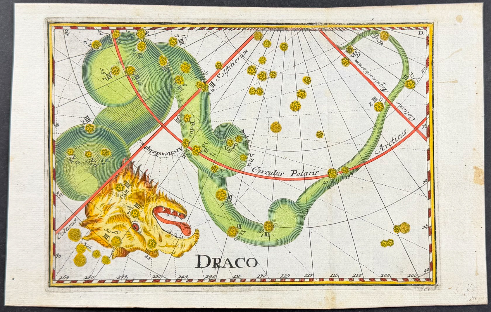 Thomas - Constellation or Celestial Chart of Draco (Dragon)