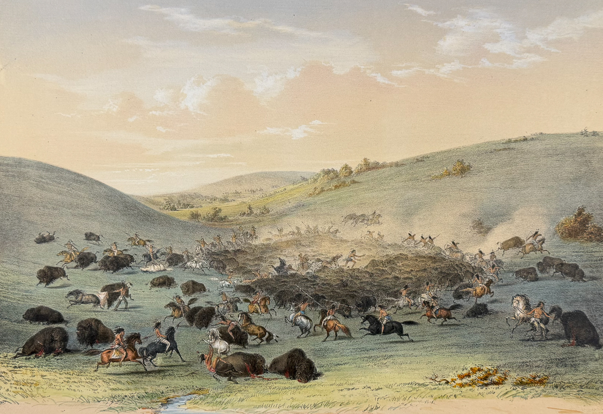 Catlin, Folio, On Card - Buffalo Hunt, Surround