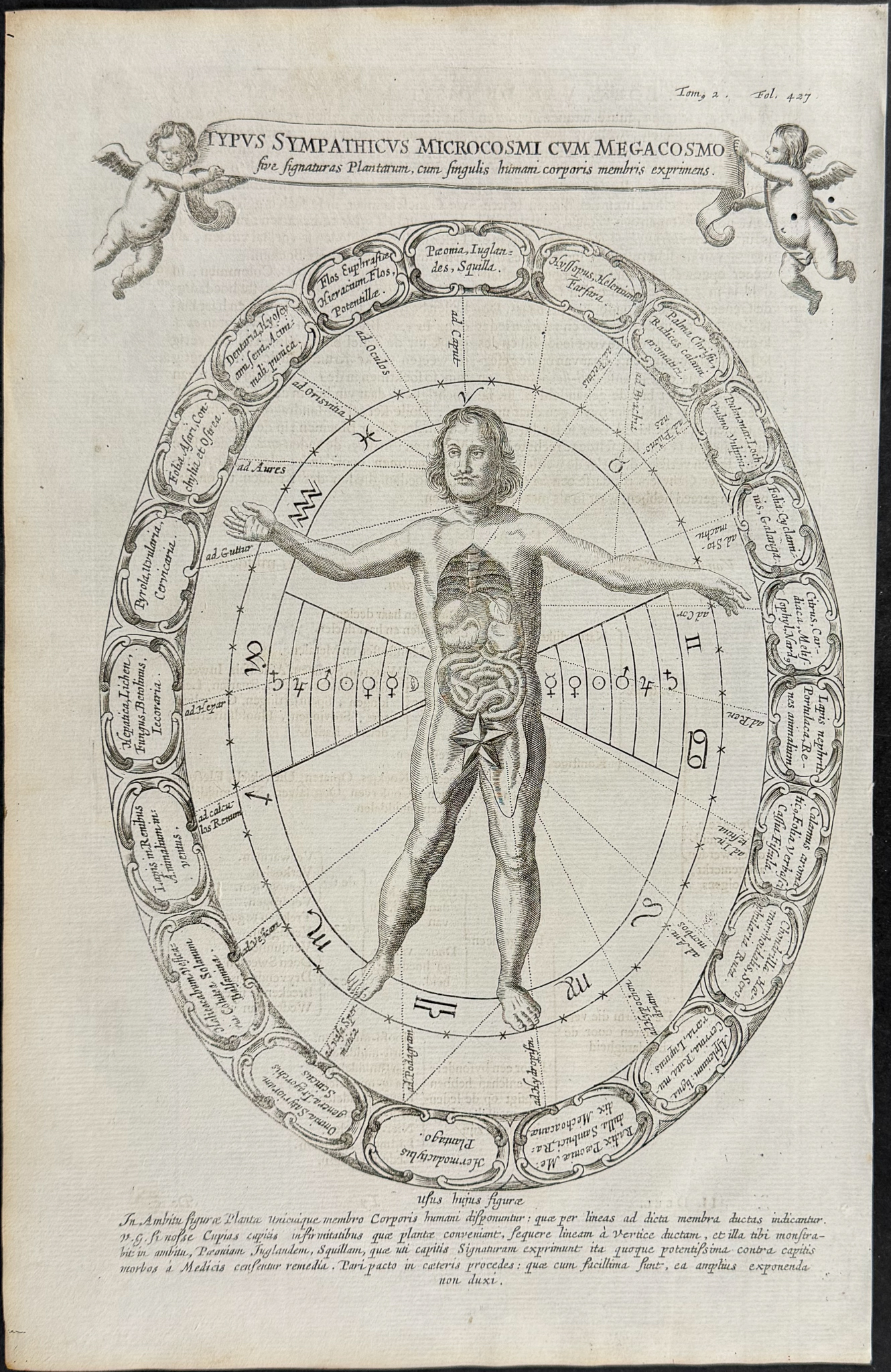 Kircher, pub. 1682 - Diagram of Human Form charting Magnetism and the Cosmos