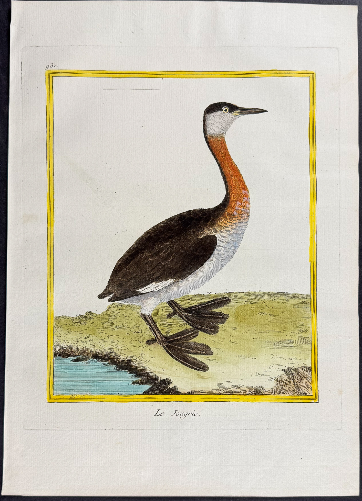 Martinet & Buffon - 6 Grebe & Oystercatcher Engravings