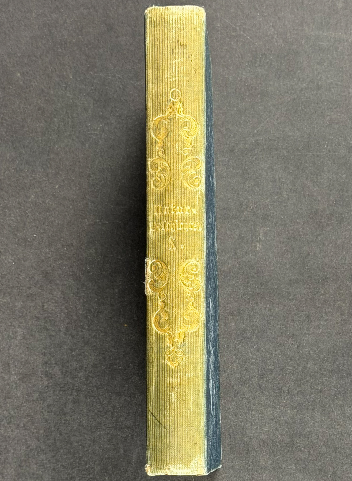 Jardine & Selby's Parrots - Volume with 30 Originally Hand-colored Engravings