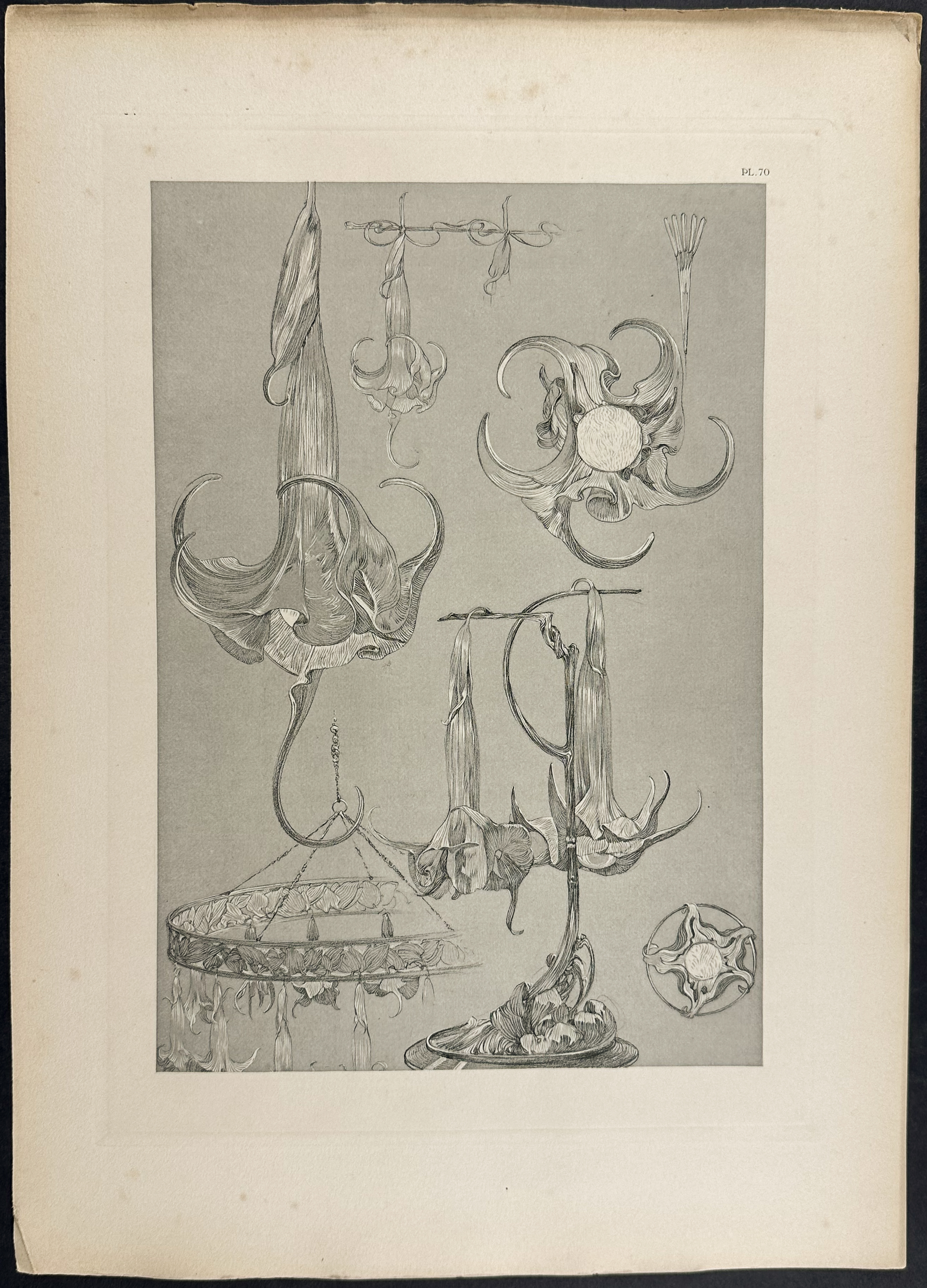 Mucha, Folio - 5 Interior Decor or Design Lithographs
