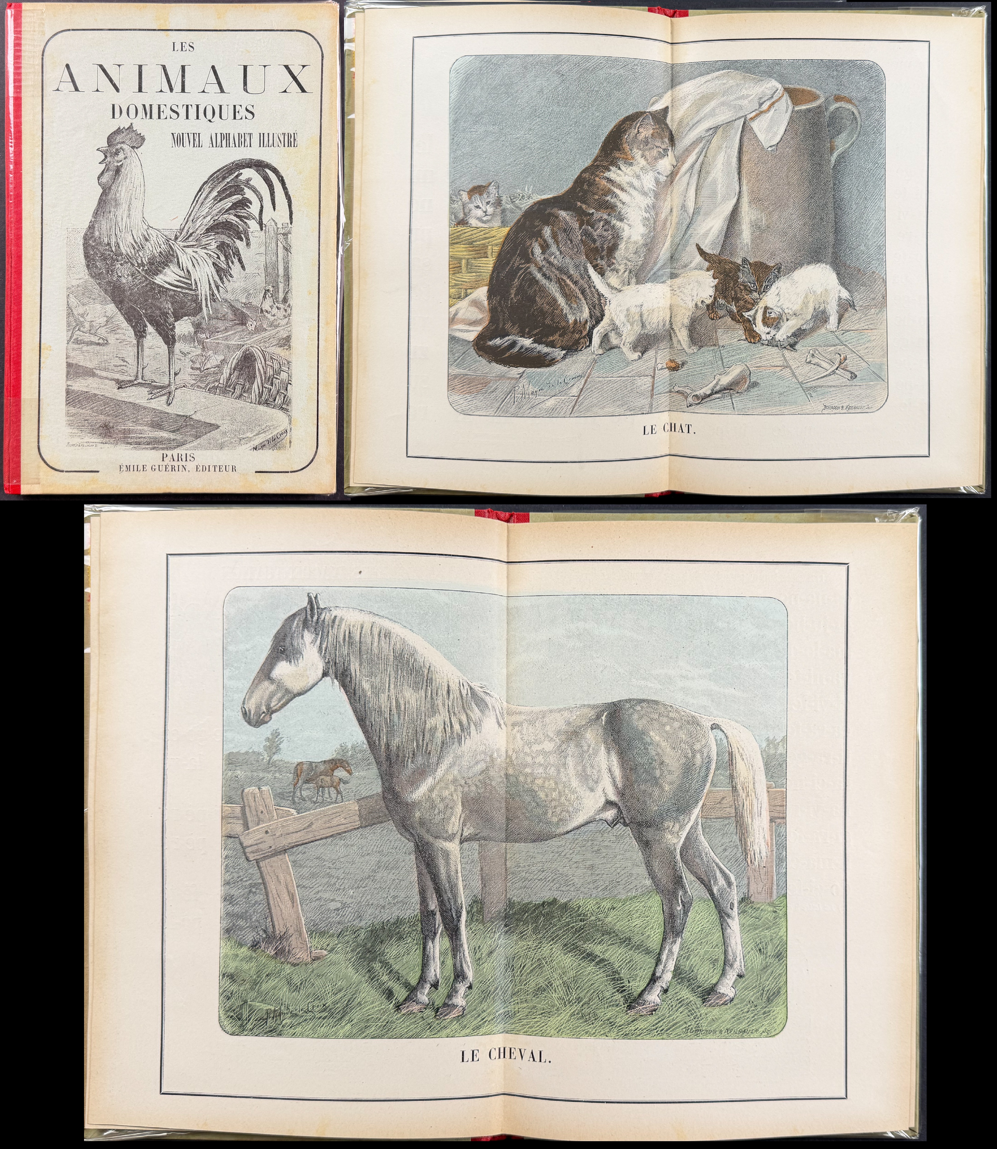 Guerin Les Animaux Domestiques: Nouvel Alphabet Illustre - Volume 12 Color Wood Engravings + In-text Illustrations