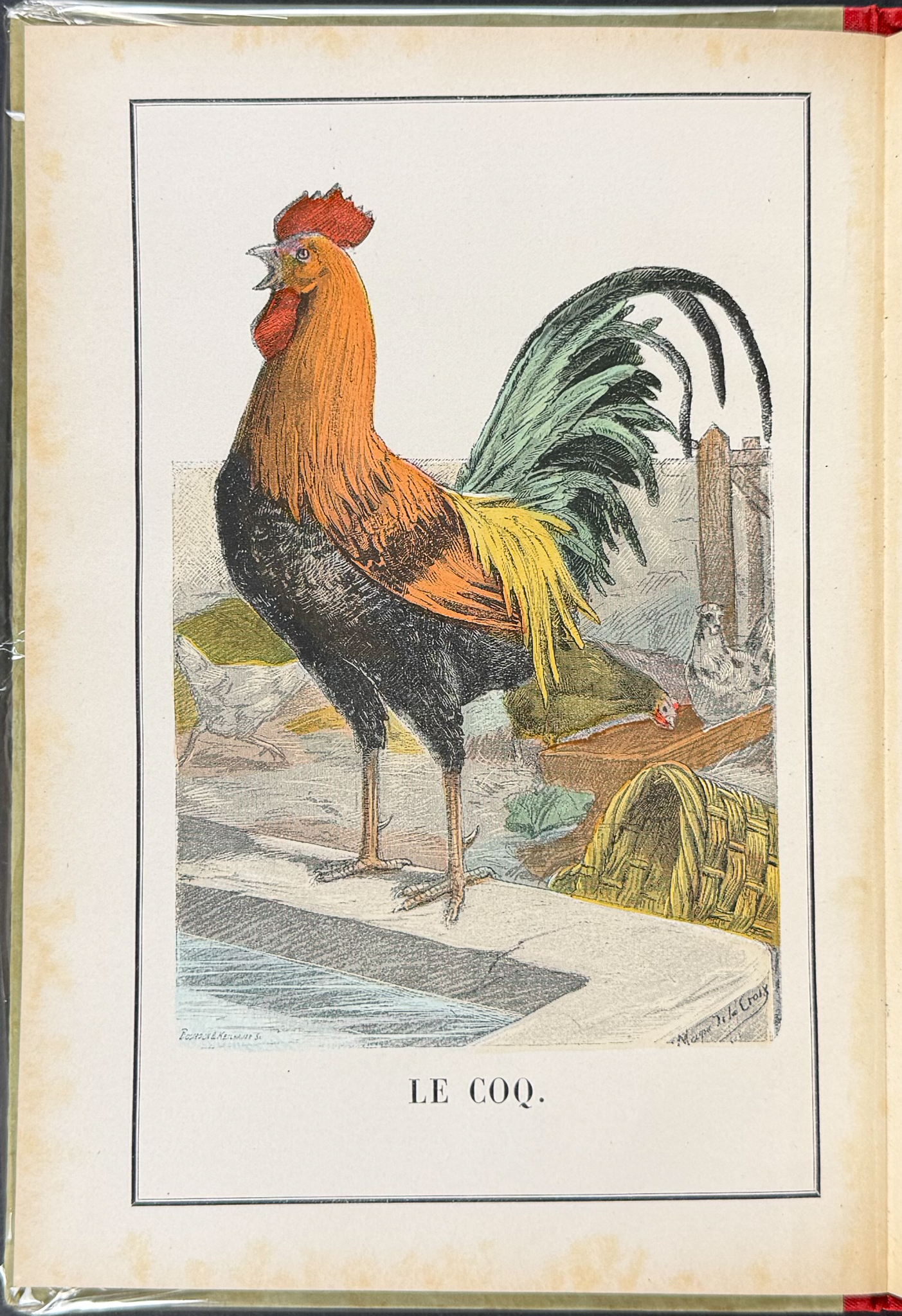Guerin Les Animaux Domestiques: Nouvel Alphabet Illustre - Volume 12 Color Wood Engravings + In-text Illustrations