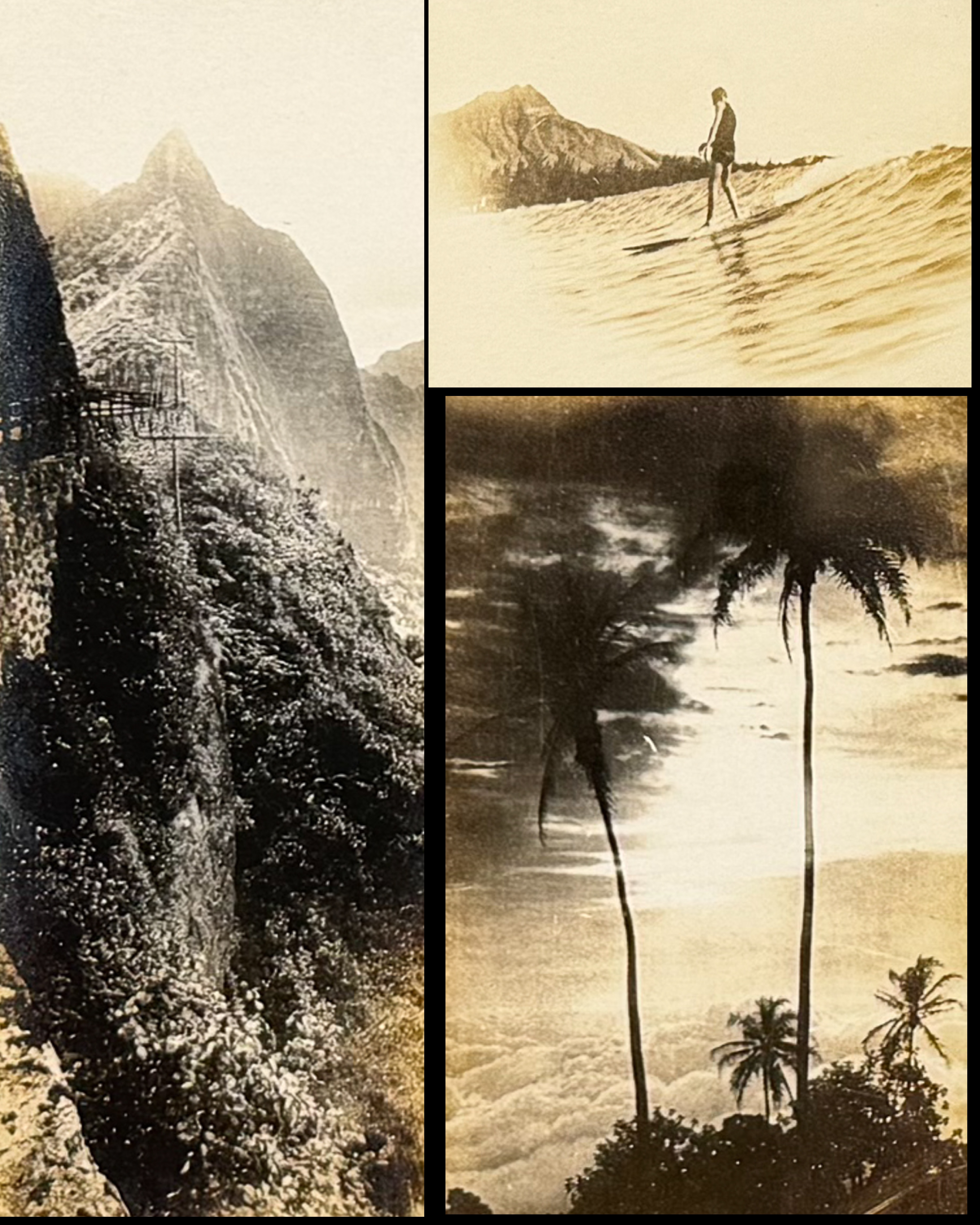 Stevens's Hawaiian Leis - One-of-a-kind Collection with 9 Photographs & Poems