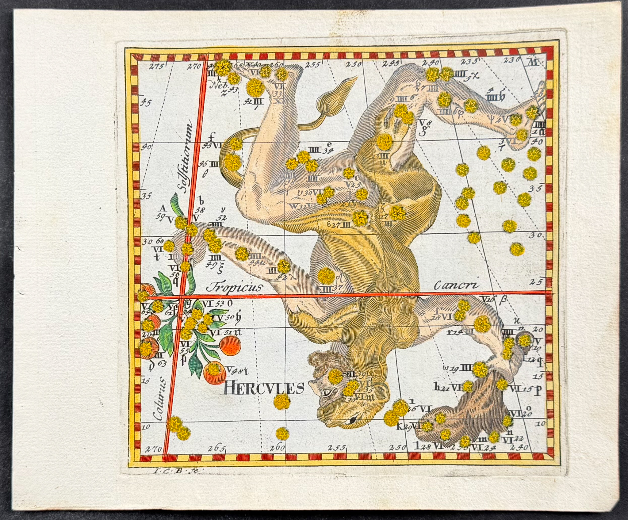 Thomas - Constellation or Celestial Chart of Hercules