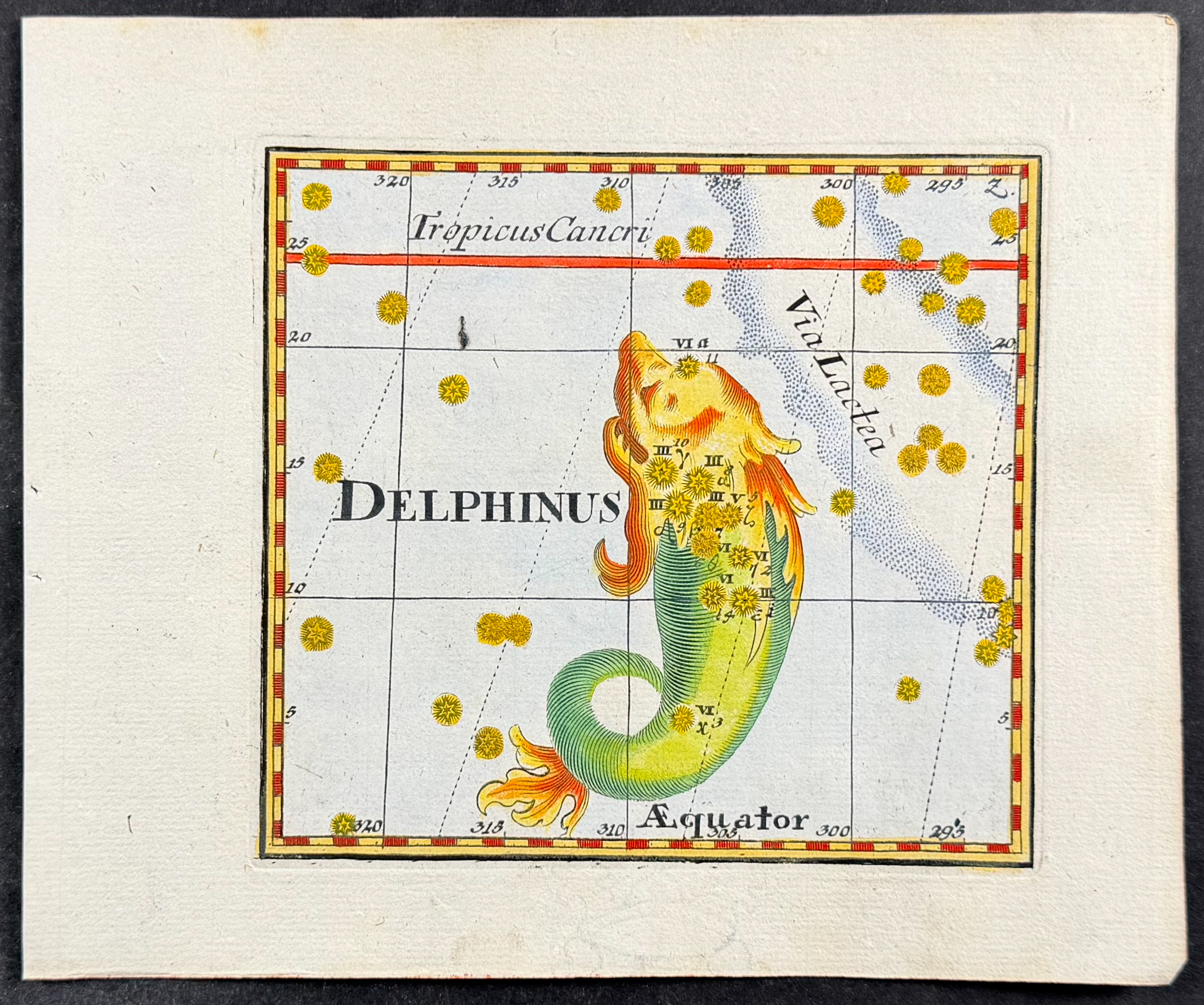 Thomas - Constellation or Celestial Chart of Delphinus (Dolphin)