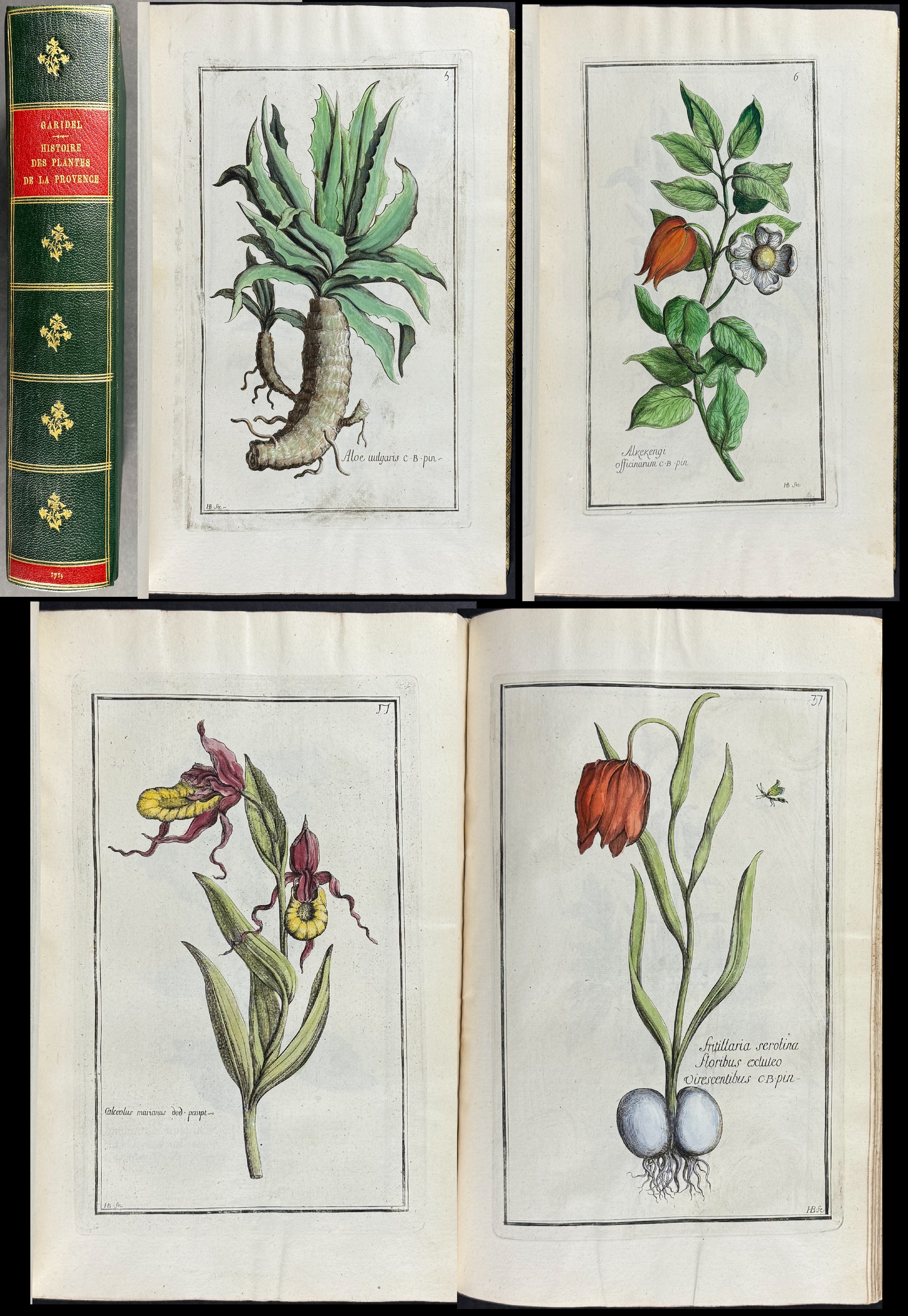 Garidel's Histoire des plantes - Volume with 100 Hand-colored Botanical Engravings
