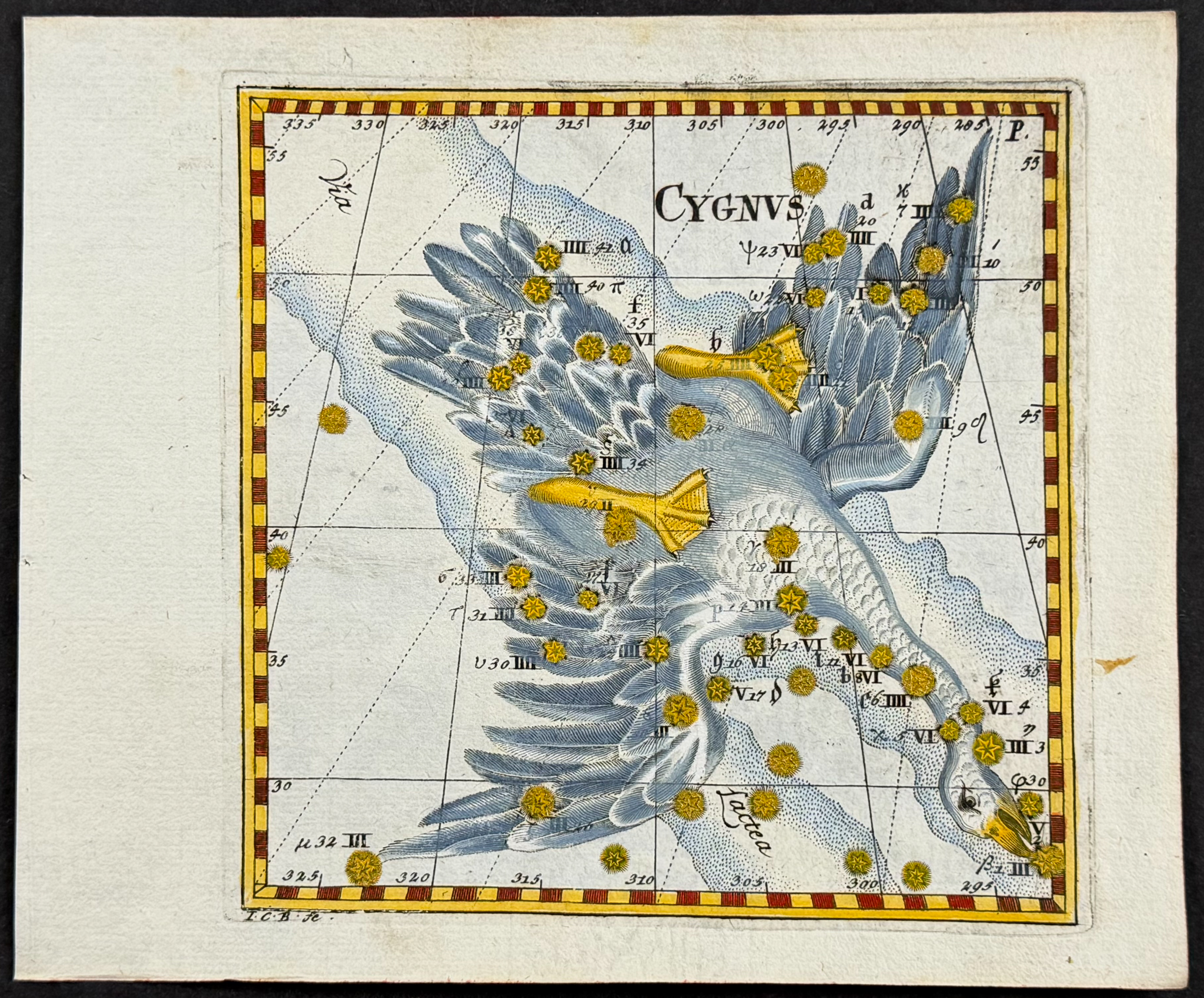 Thomas - Constellation or Celestial Chart of Cygnus (Swan)