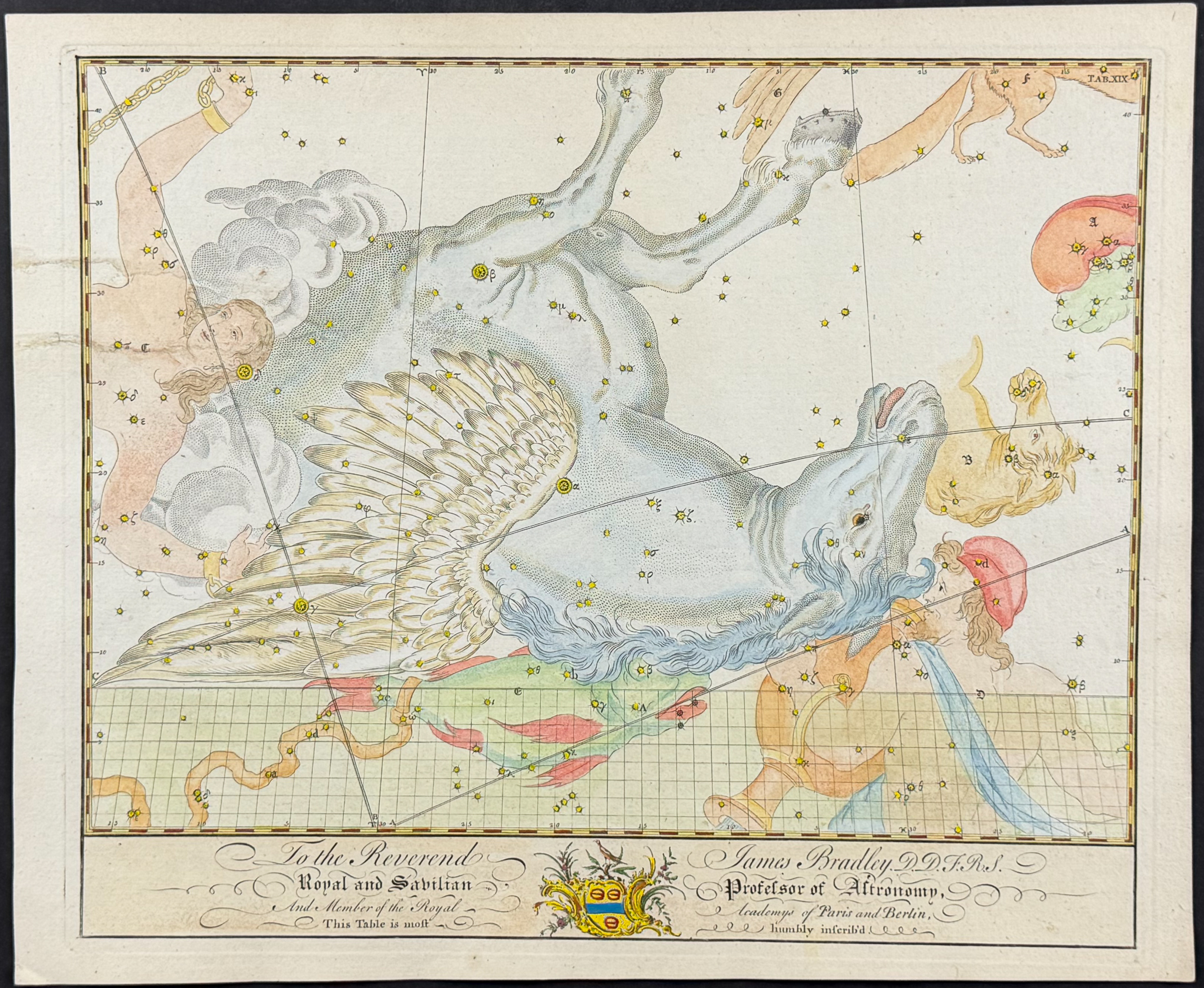 Bevis, Rare - Constellation or Star Chart of Pegasus