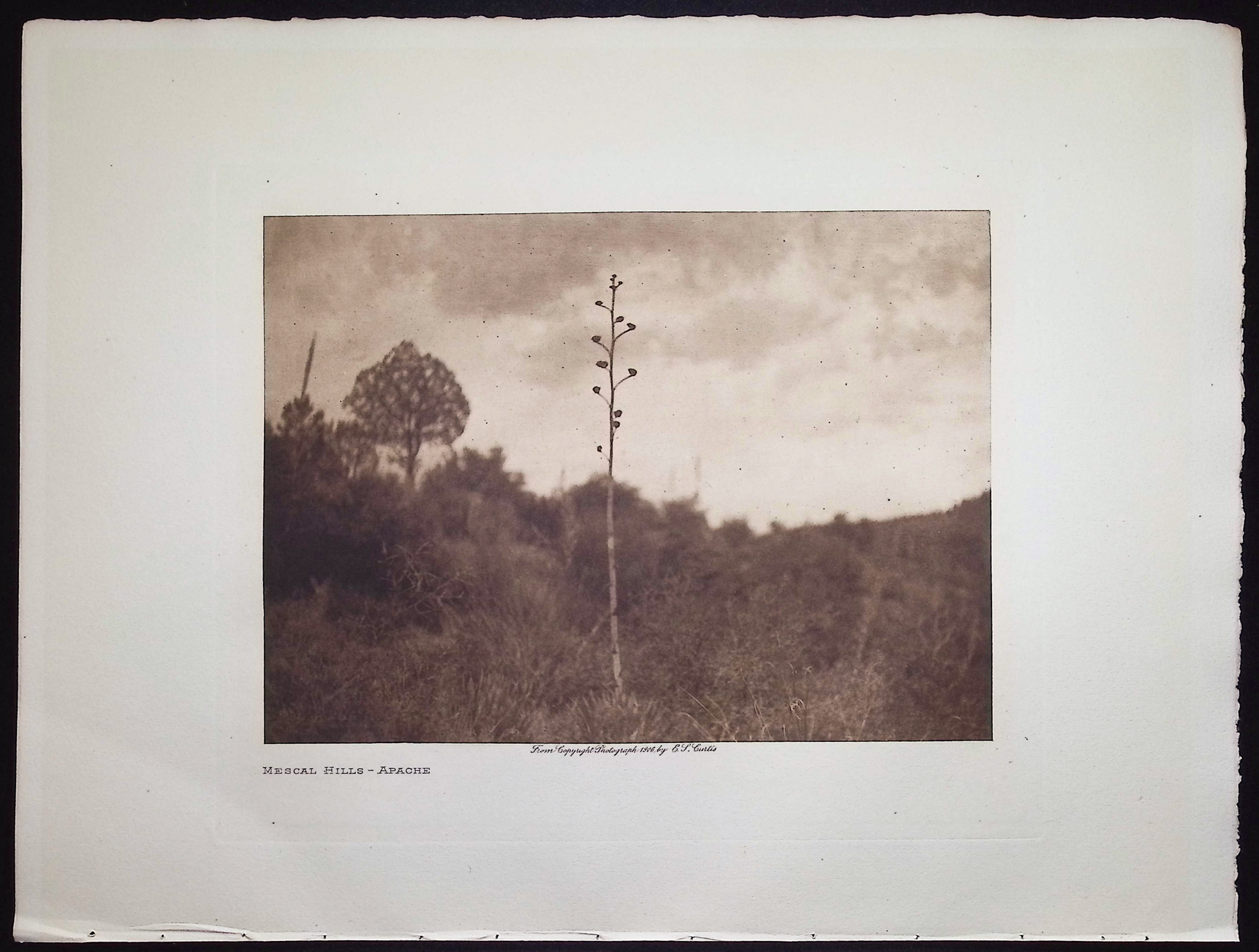 Edward Curtis - Mescal Hills - Apache